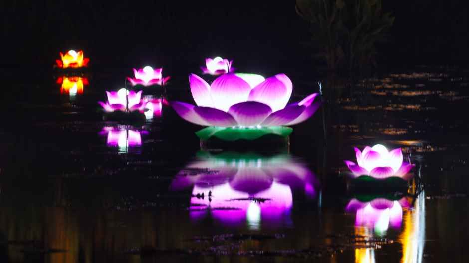 Buyeo Seodong Lotus Festival