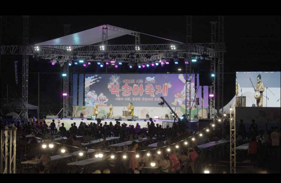 Sejong Jochiwon Peach Festival