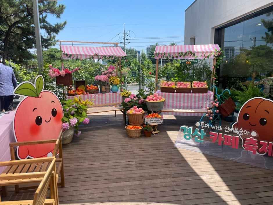 Gyeongsan Café Festival