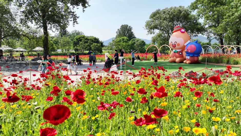 Colorful Garden Jara Island Flower Festa