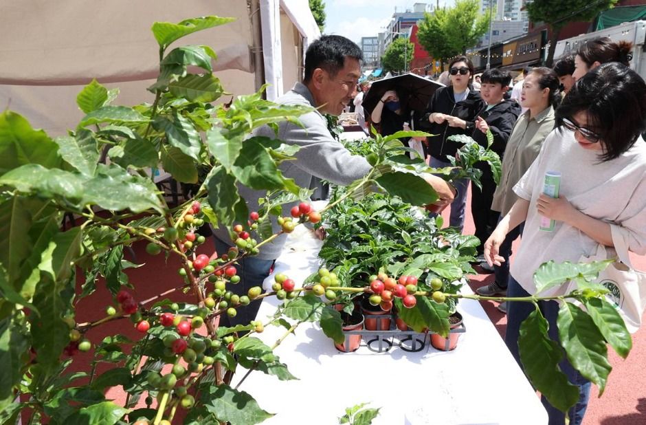 경춘선 공릉숲길 커피축제