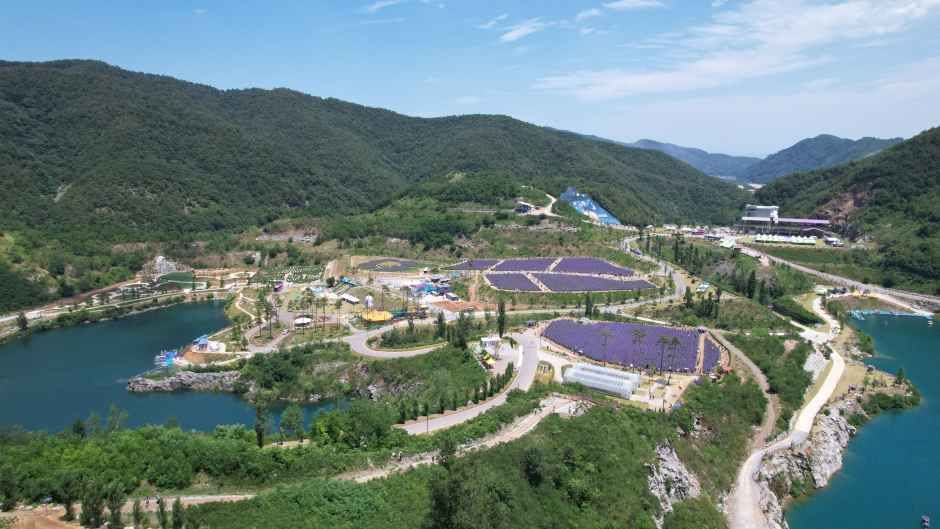 Mureungbyeol Yuchonji Lavender Festival