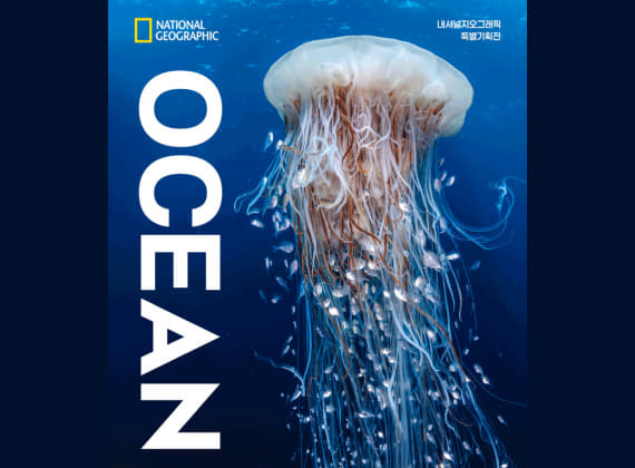 내셔널지오그래픽 특별기획 OCEAN 가장 거대한 기록