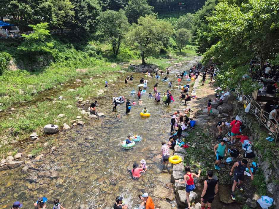 Jangsu Cool Valley Festival