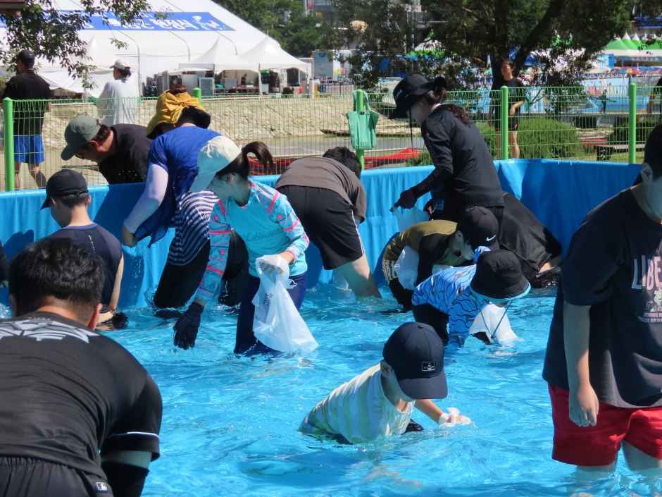 Bonghwa Eoneo (Loach) Festival