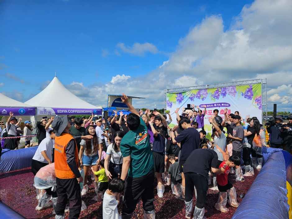 Ansan Daebu Grape Festival