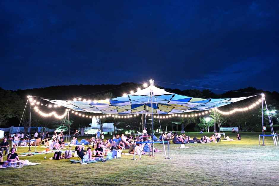 Starlight Festival at Sinjeongho on a Summer Night