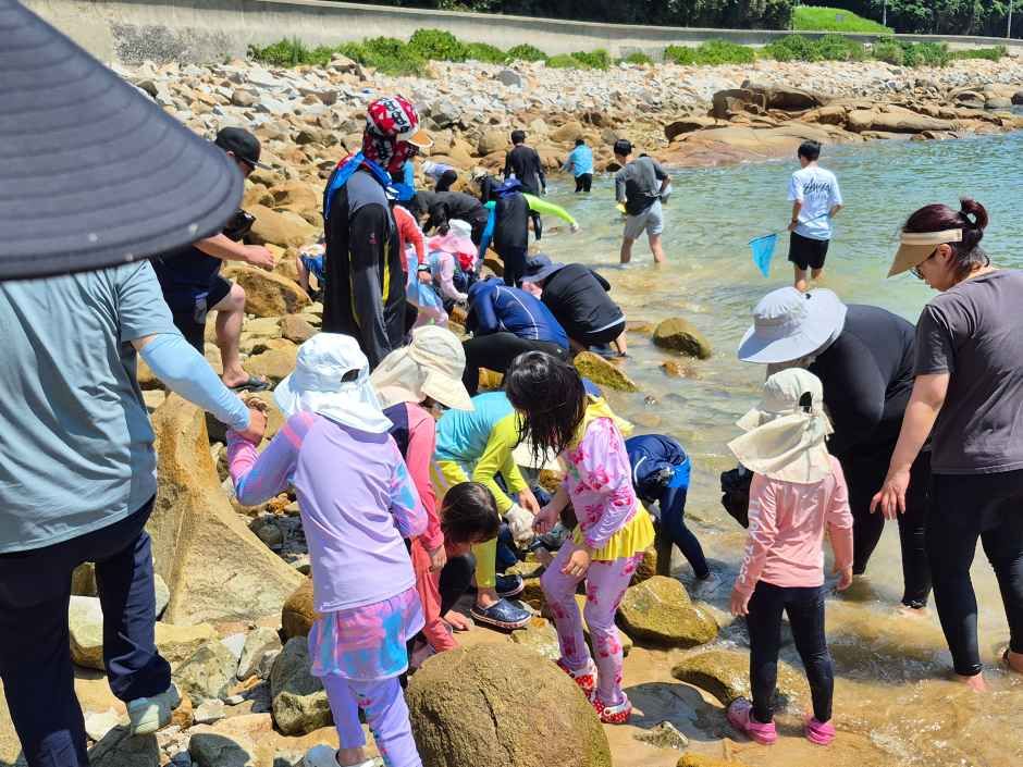 거문도백도 은빛바다체험행사