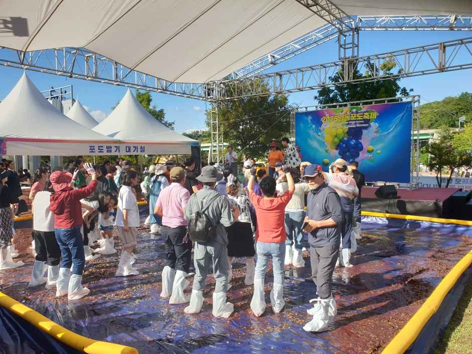 Yeongdong Grape Festival