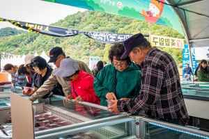 Hoengseong Korean Beef Festival