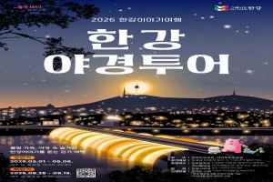 Han River Night View Tour