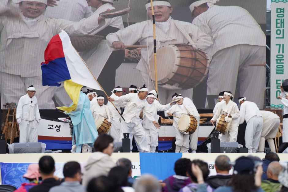 Goseong Pollock Festival