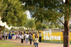 Nakdonggang Gupo Naru Festival