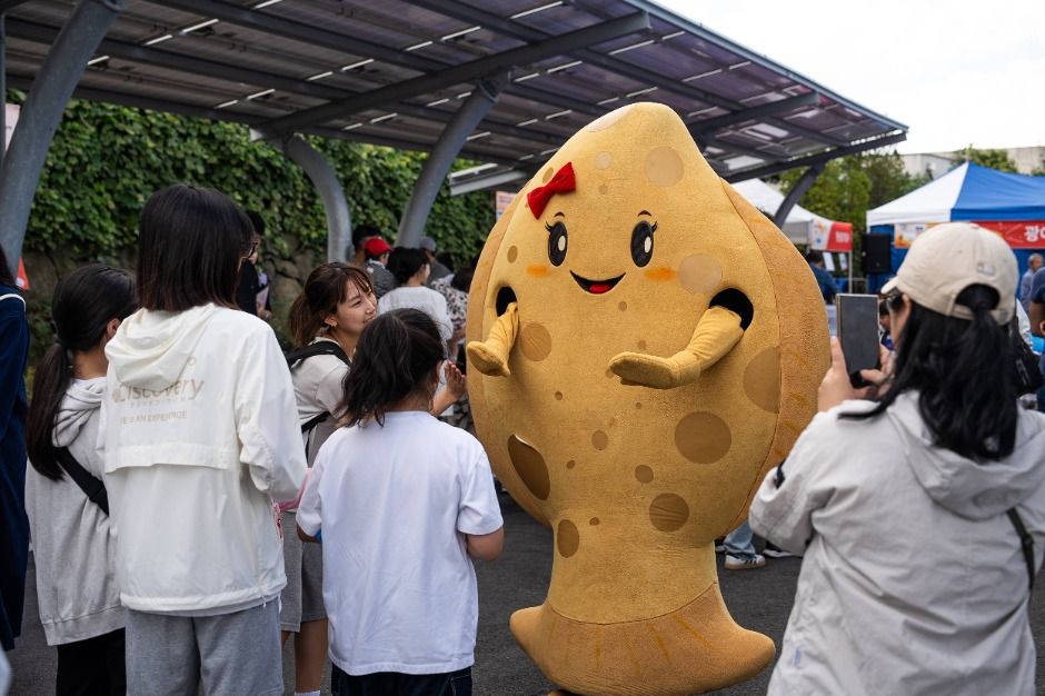Jeju Flounder Festival