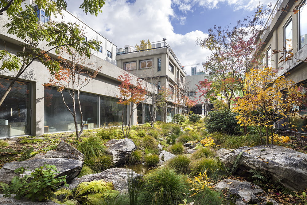 Park scenery and buildings around Seoul Gangnam beauty flagship