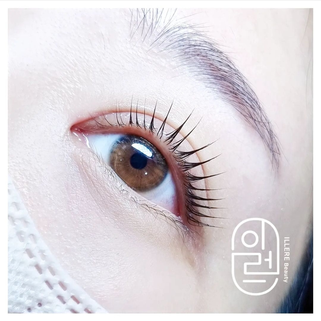Comparison of eyelash extension styles with various curves