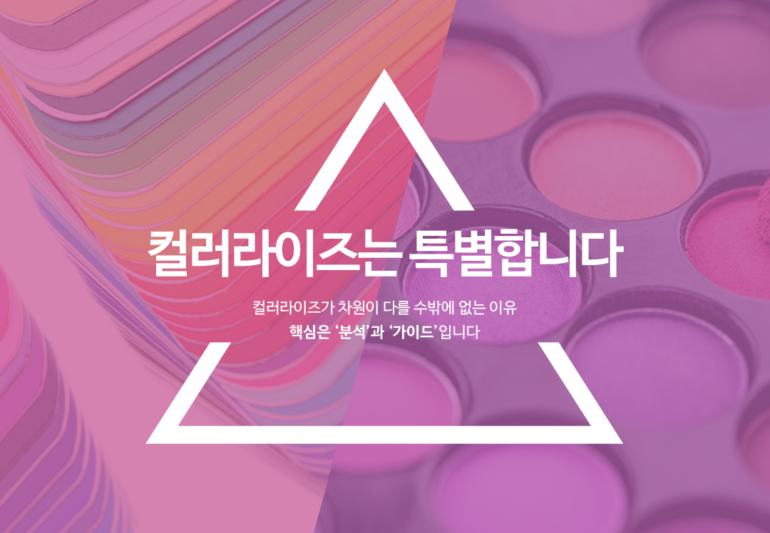 A variety of personal color palettes expressed in pink and purple tones