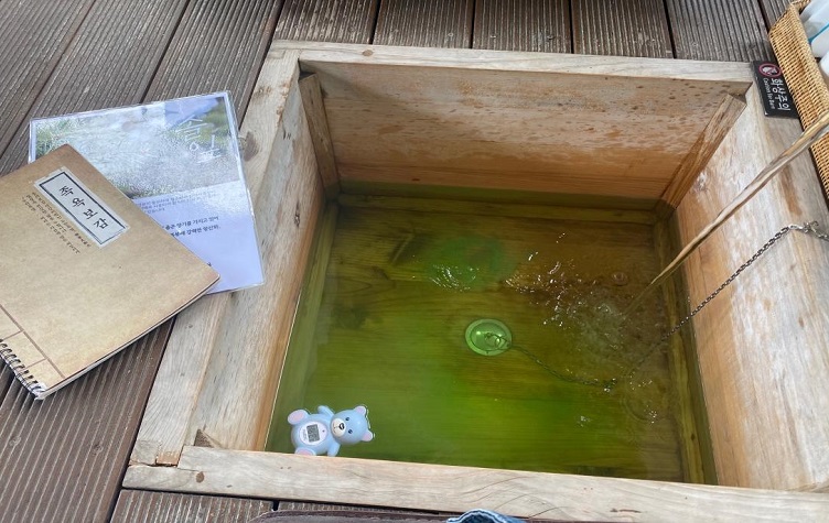 A look of green herbal water contained in a pagoda tree foot-bath