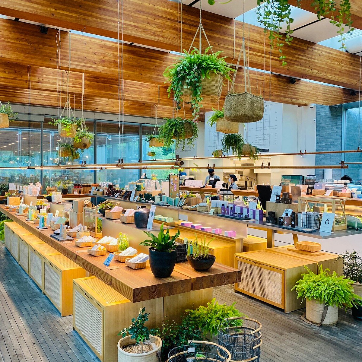Innisfree Jeju House Branch - Seogwipo - ...