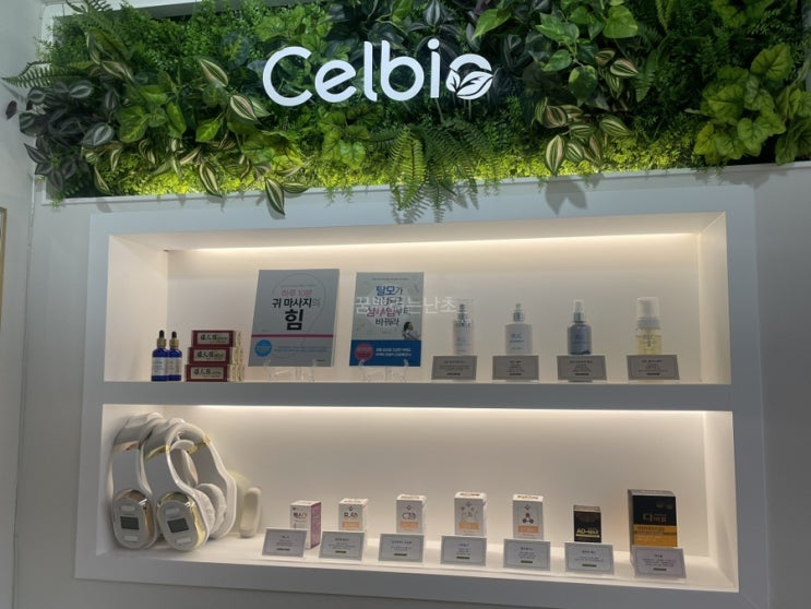 Selbio Jamsil Main Store : Songpa hair loss, Jamsil scalp management, sad review ...
