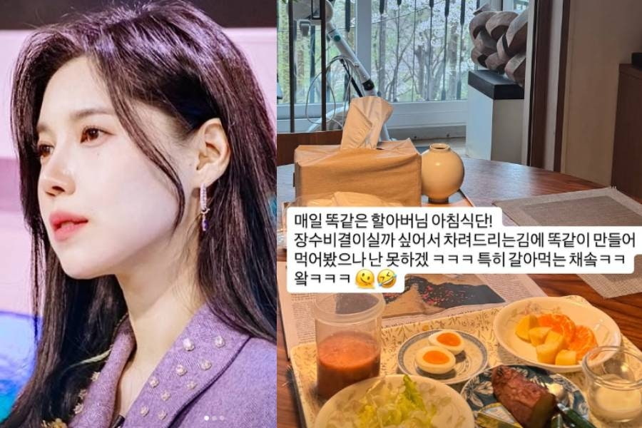 Bae Da-hae’s latest update after moving in with her 100-year-old step-grandfather… “Living in a single-room (jeokbang)”