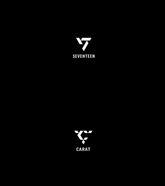 Seventeen, fan meeting 'Carat Land' successfully concluded→new logo unveiled..'TEAM SVT' first step