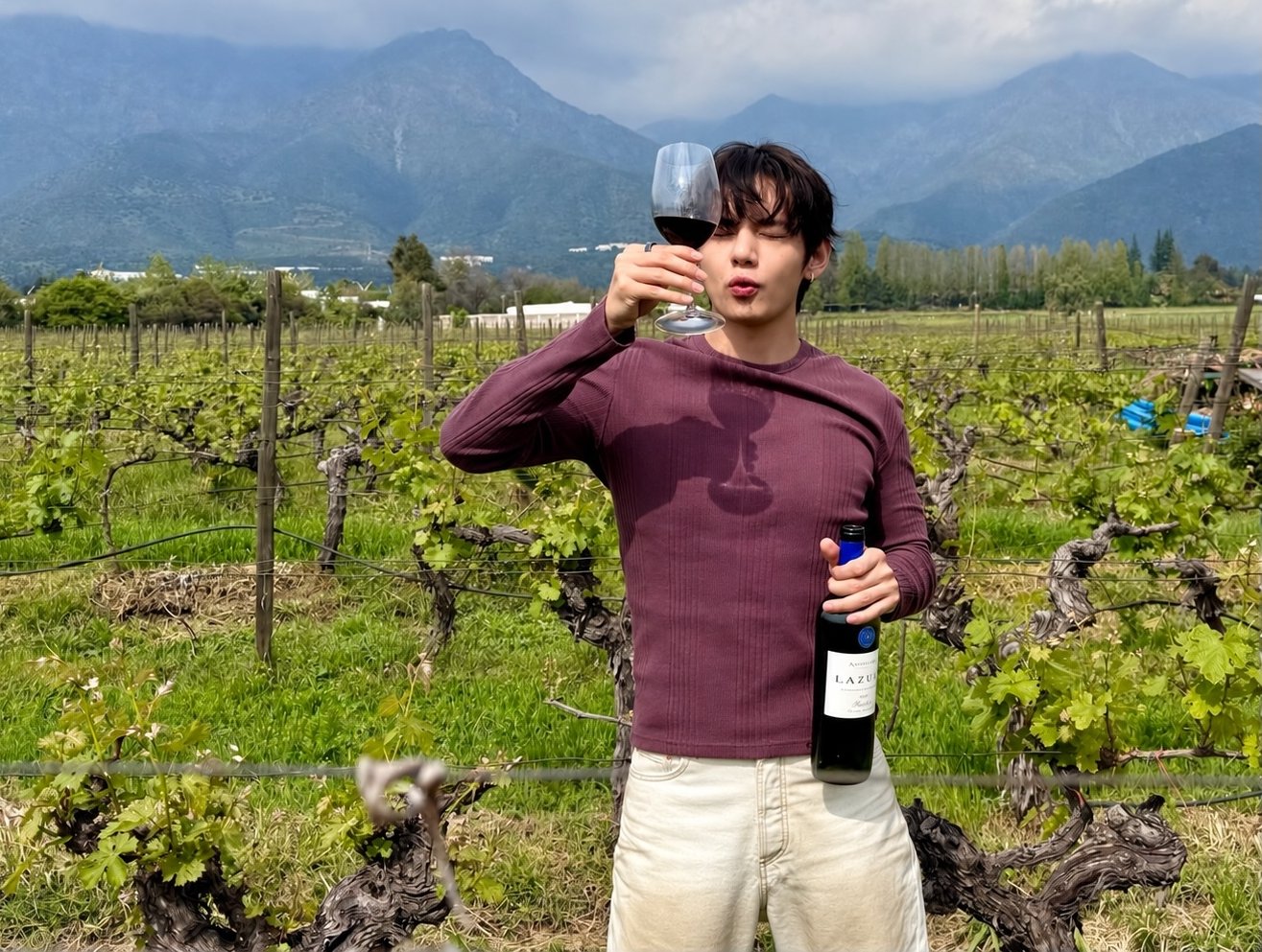 BTS’s V’s Wine from Chile Sold Out in Two Hours… “Wait Two Months for Restocking”