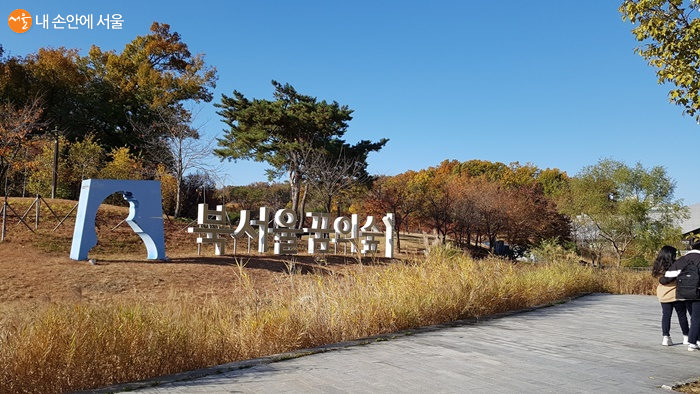 Bukseoul Dream Forest — a 660,000㎡ forest left behind by Dreamland
