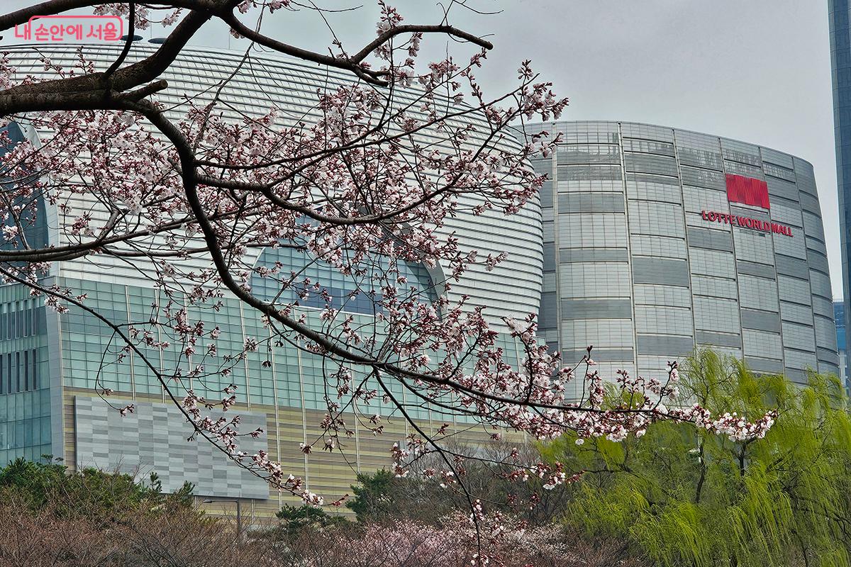 Seokchon Lake: Jamsil’s Man-Made Lake Left Behind by the Lost Songpanaru