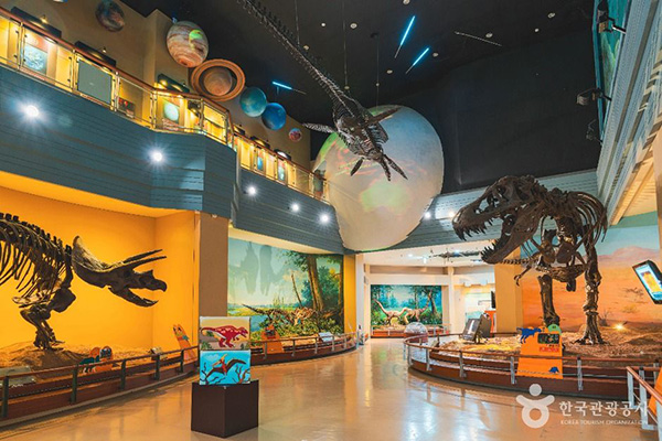 A large dinosaur skeletal fossil exhibited in the central hall