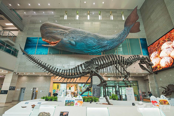 A display showing a whale model and dinosaur fossils exhibited side by side