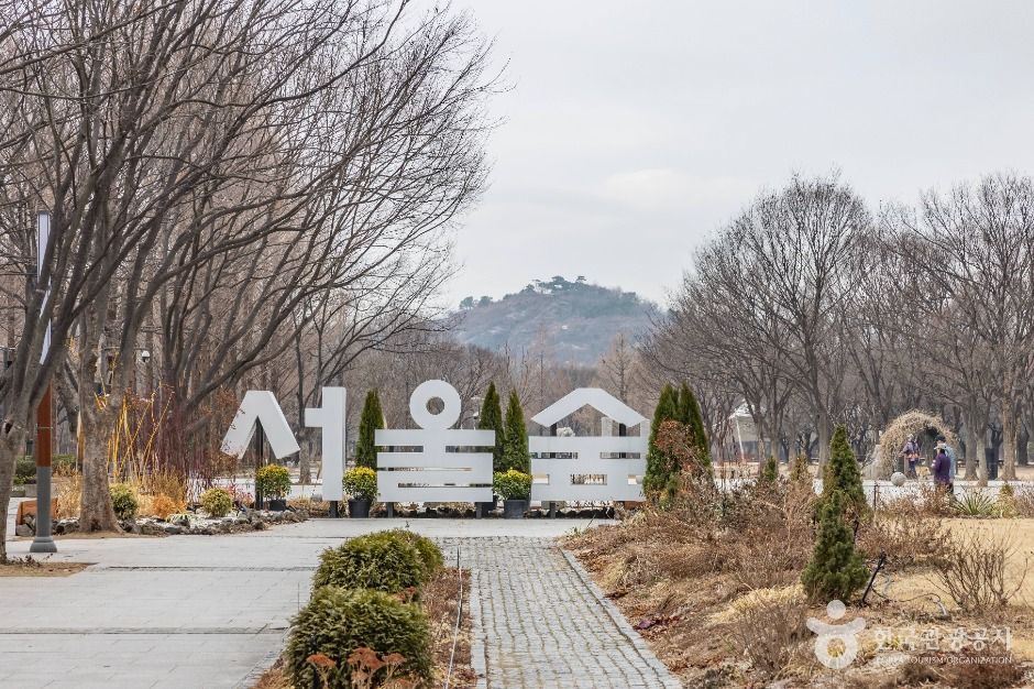 This is a photo of the walking trail and treescape inside Seoul Forest..