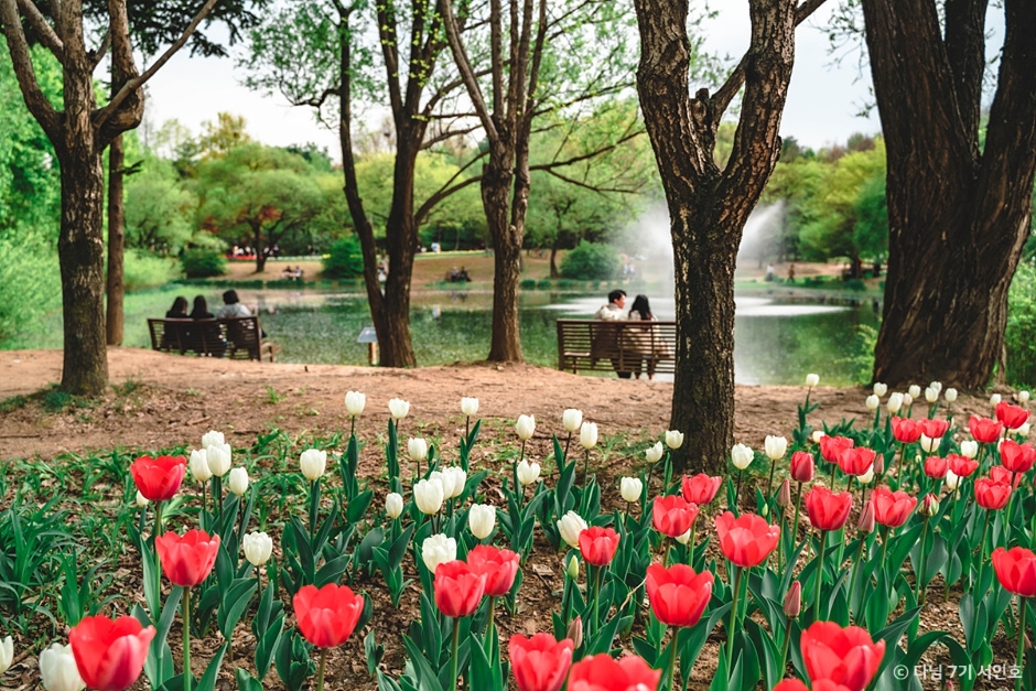This is a photo of the plant and ecological observation space in Seoul Forest..