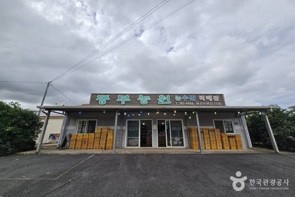 동부농원 관련 관광 안내 사진