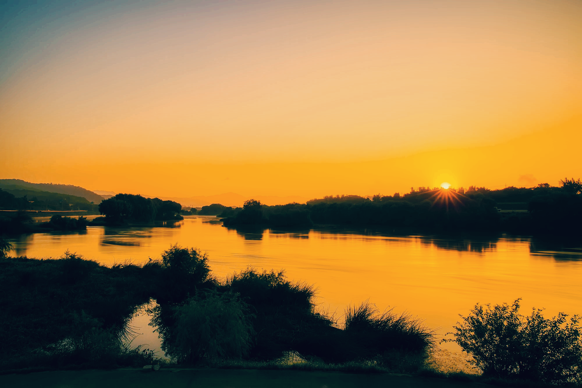 Ha-jungdo in the Middle of the Geumho River, Daegu, Where the Fields Change with Each Season