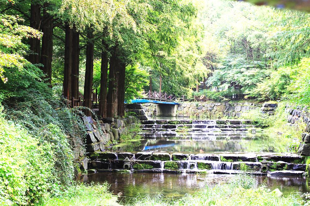 This is a panoramic view of the Jangtaesan Natural Recreation Forest campsite..