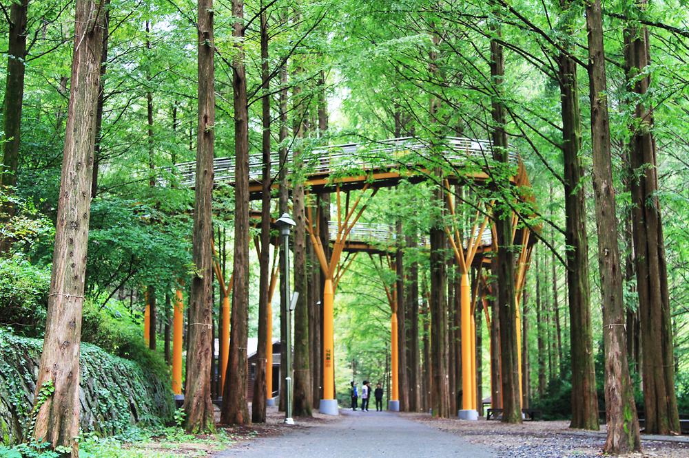 This is a view of the Jangtaesan Natural Recreation Forest campsite..