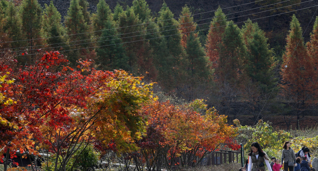 These are the stone pagodas of Sangso-dong Recreational Forest during the autumn foliage season.