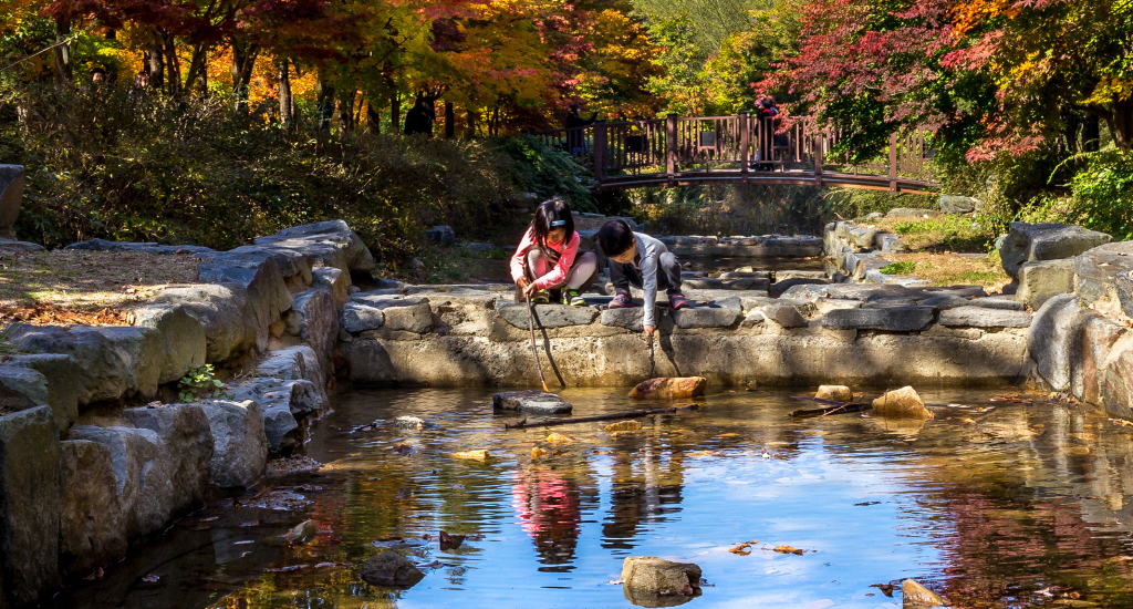 This is a panoramic view of Sangso-dong Recreational Forest.