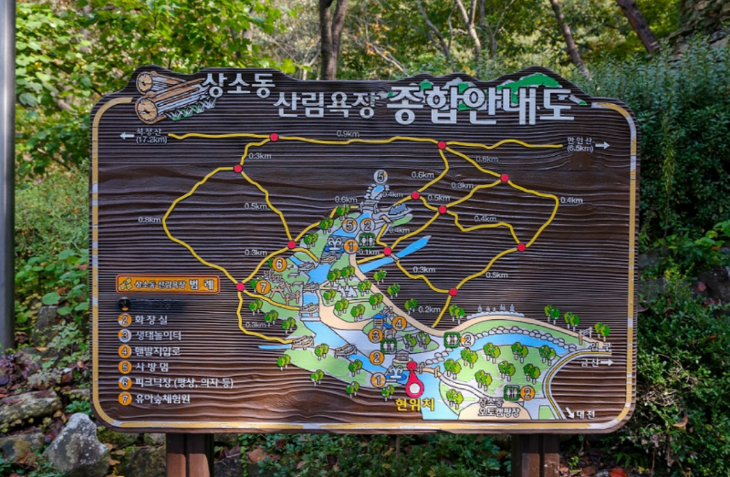 This is Sangso-dong Recreational Forest.