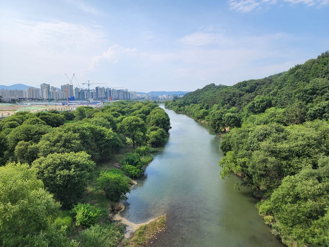 This is a photo of the Daejeon Gapcheon Wetland, designated as a National Inland Wetland Protected Area..