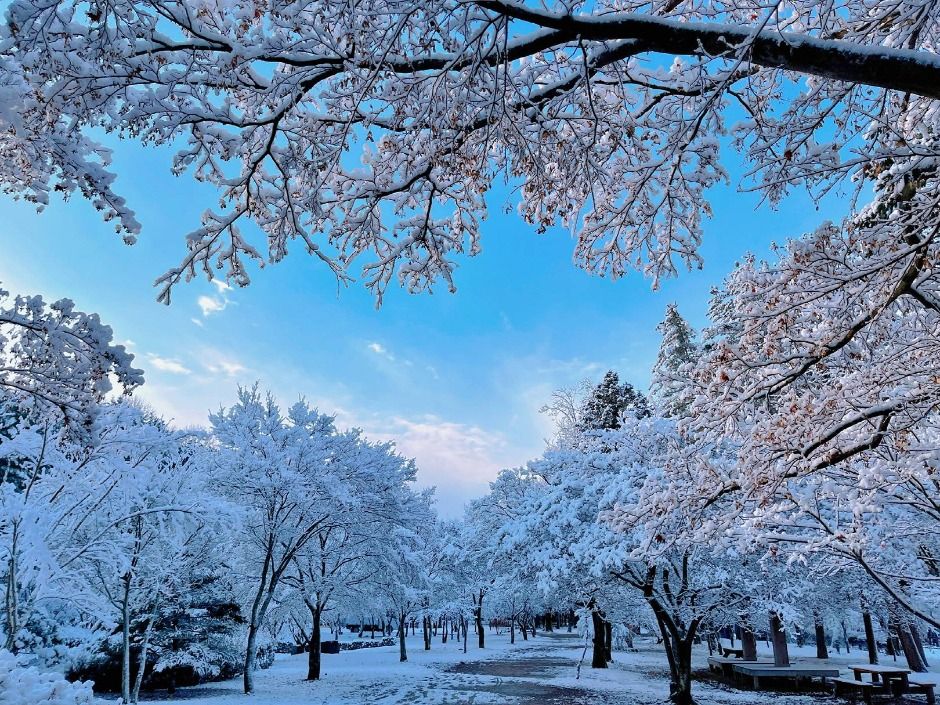 남이섬 전경