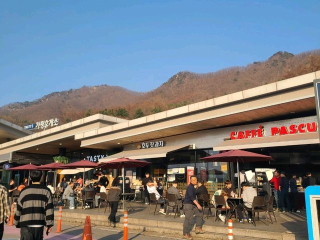 20 minutes choosing Gapyeong pine nut snacks on the Seoul–Yangyang Expressway: Gapyeong Service Area (toward Chuncheon)