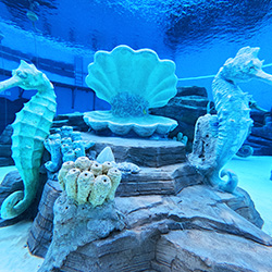 Wave Park water depth 5mThis is the outdoor diving pool of.