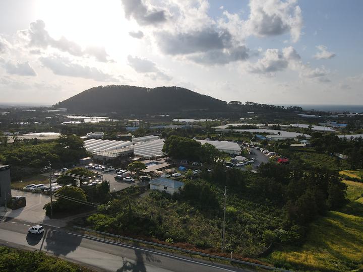 에코그린캠핑장: 애월 중산간 돌담 안에서 15시부터 보내는 1박