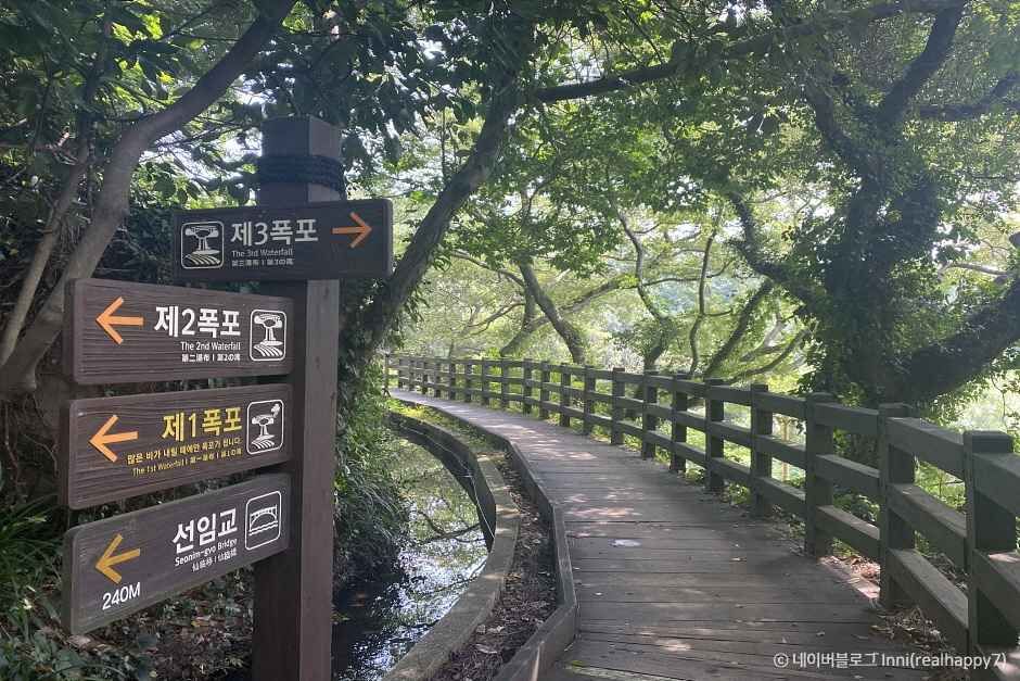 한국관광공사가 제공한 천제연폭포 관람 구역 사진입니다.