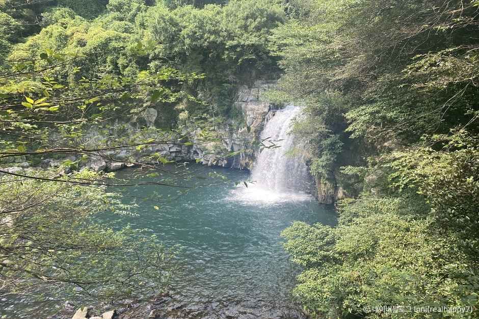 한국관광공사가 제공한 천제연폭포 주변 풍경 사진입니다.