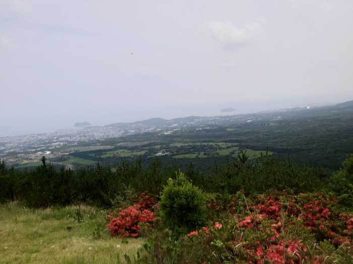 제주 오름 전경입니다.