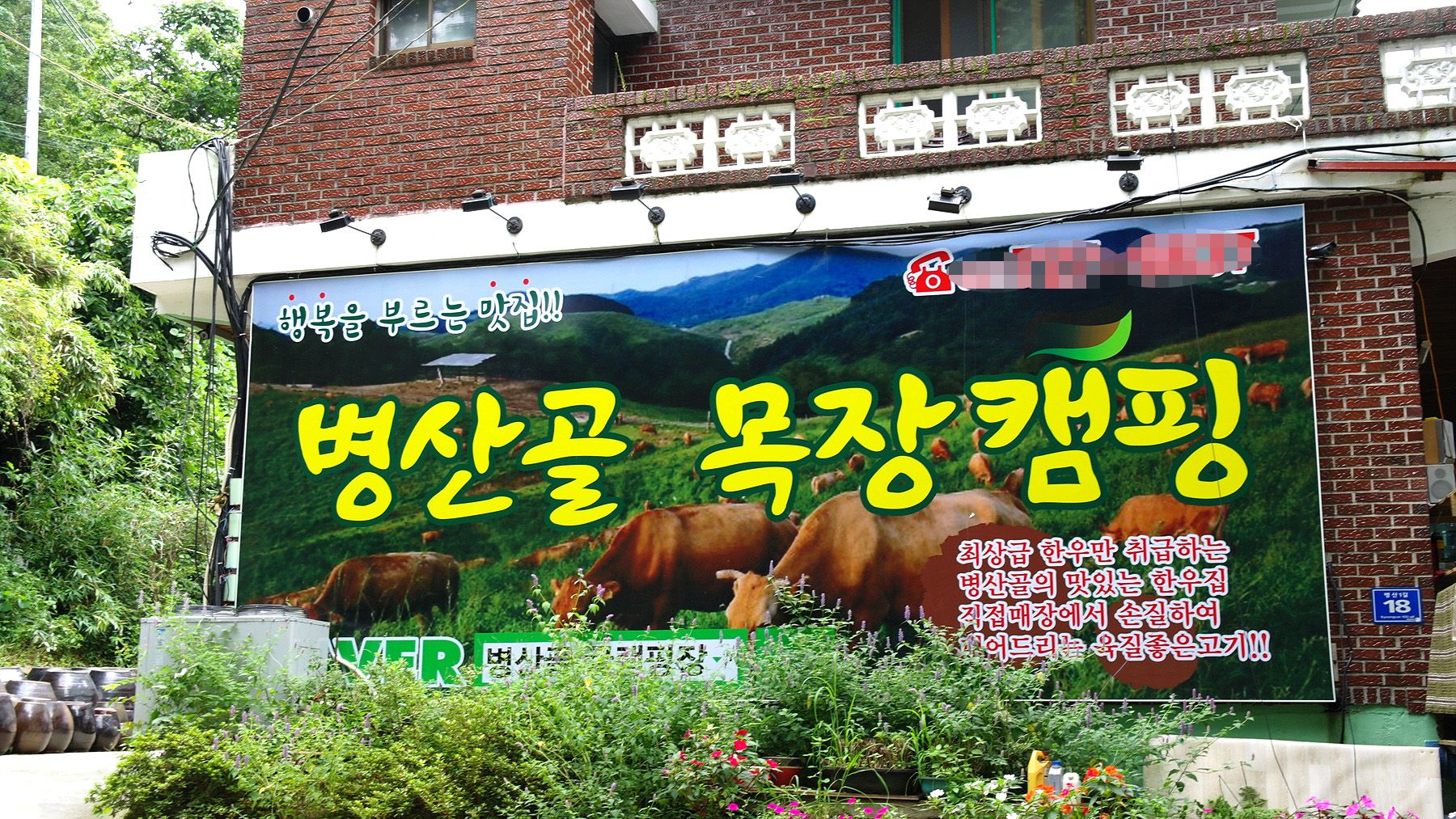 병산골목장캠핑으로 소개된 초원숲속캠핑장 야외 공간 사진입니다.