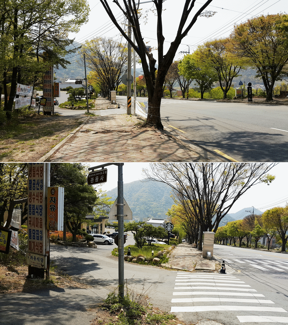대구올레 팔공산 2코스의 임도 구간입니다.